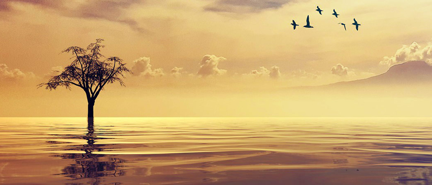 Règles d’hygiène de votre salle de yoga